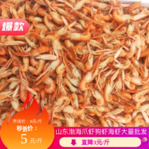 干货山东渤海爪虾，狗虾，海虾大量批发，淡干