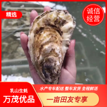 整车社区团购乳山生蚝水产专车配送整车发货全程鲜活