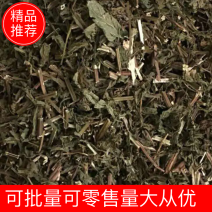 溪黄草【包邮】三斤起发货可批量可零售量大从优
