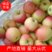 【产地直销】红富士苹果大量批发货源充足现场采摘