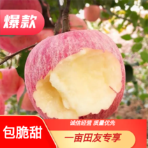 【精品】烟台红富士苹果当季山东新鲜水果私发