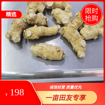 加拿大进口【西洋参】20克15克10克粒头短支