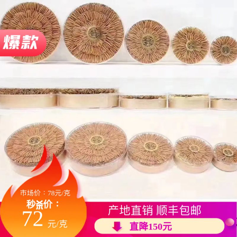 西藏那曲冬虫夏草产地直销，精选，精品虫草，无串条，无牙签
