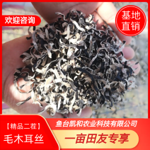 毛木耳丝5毫米长度5厘米白背黑木耳产地直销当季新货