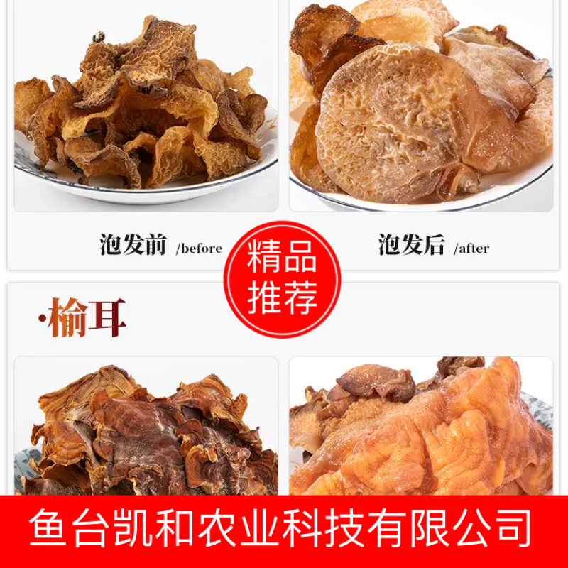 【量大价优】榆耳产地直销食用菌当季新货品种齐全