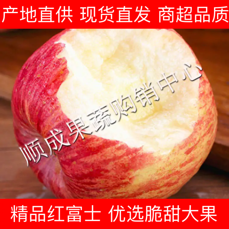 山东苹果/苹果/精选红富士苹果产地一手货源价格便宜随到随装