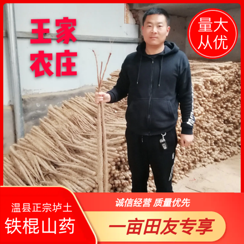 温县正宗垆土地铁棍山药现挖现发新鲜直达