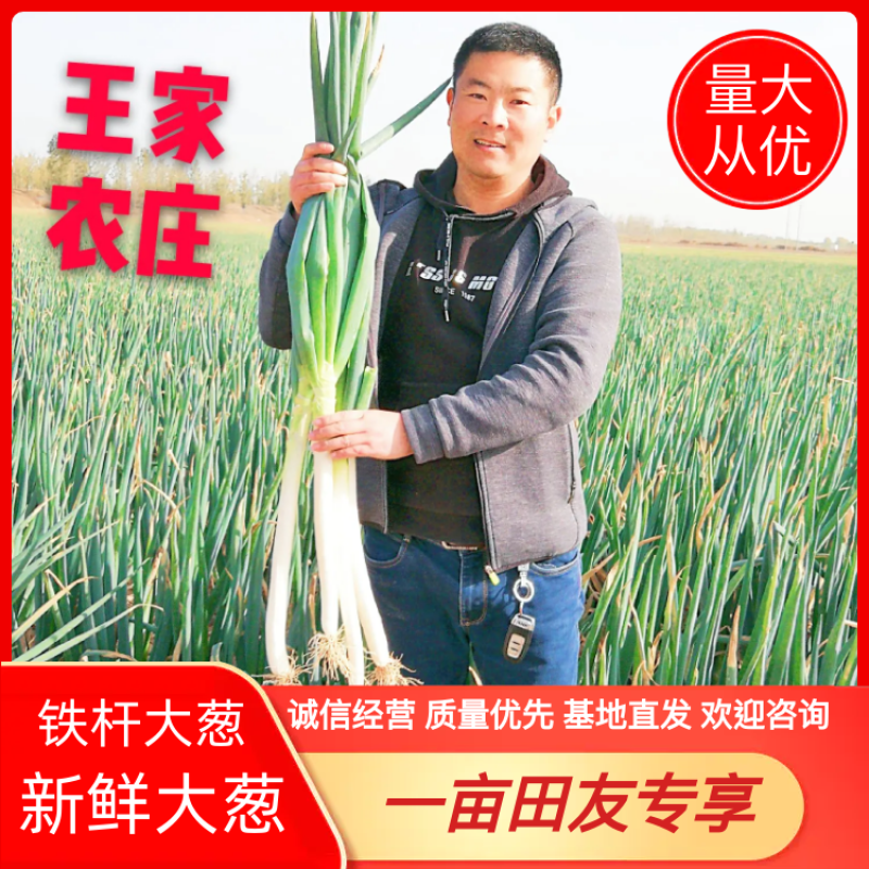 温县黄河滩铁杆大葱新鲜大葱