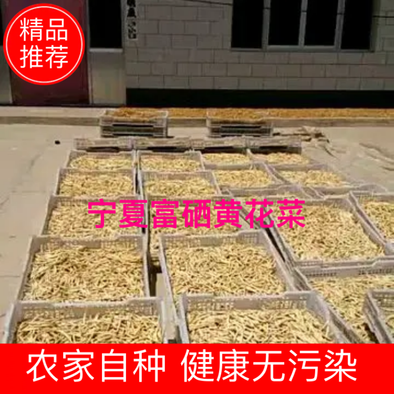 【精品】宁夏大白条黄花菜产地直销干货无硫保质保量