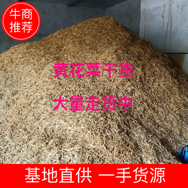 【优选】宁夏新货黄花菜自产自销20斤装支持一件代发