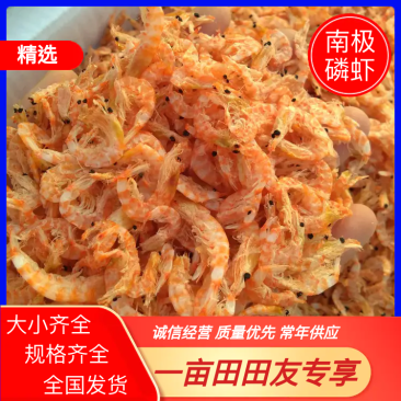 常年供应南极磷虾大虾皮，无盐淡干，各种大中小规格齐全