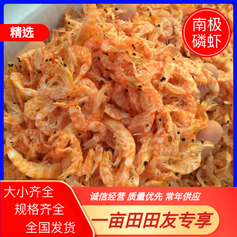 常年供应南极磷虾大虾皮，无盐淡干，各种大中小规格齐全