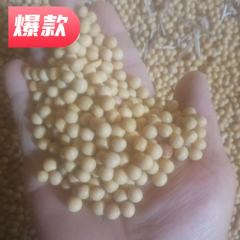 合作社出售2020年新产东北优质高蛋白大豆200吨