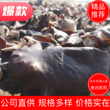 白背黑木耳毛木耳水洗头茬当季新货剪头去根量大从优