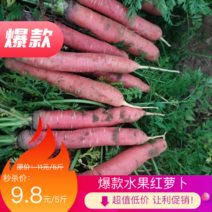 【全年供应】陕西大荔秤杆红萝卜产地直销一件
