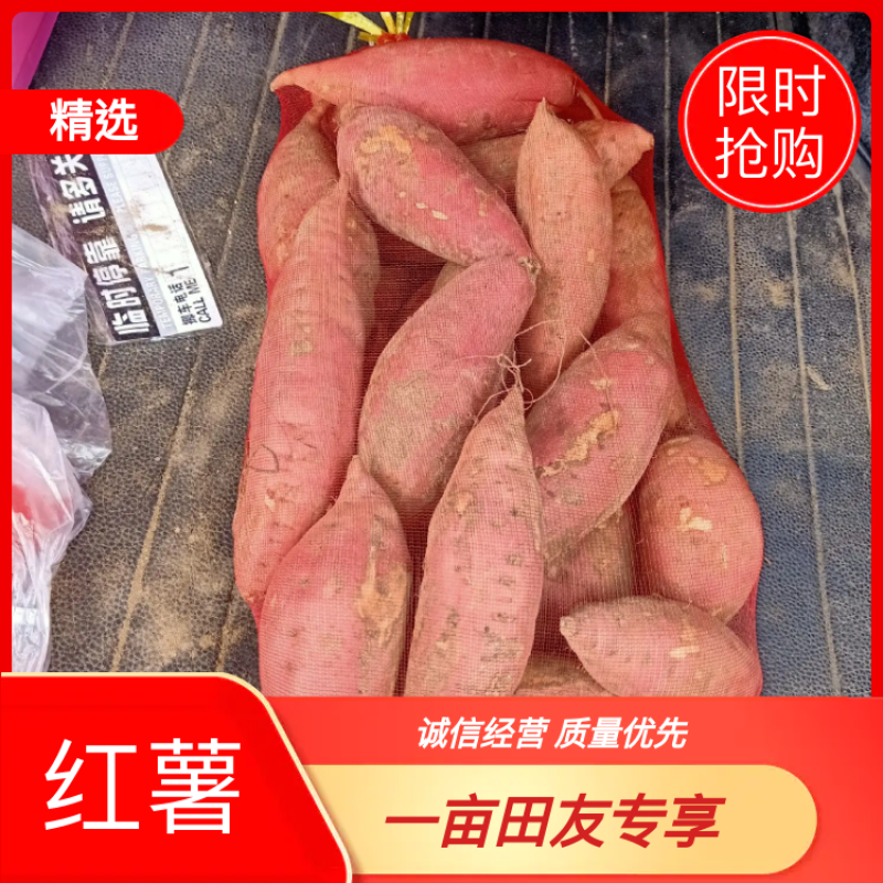 山东济宁泗水蜜薯大地瓜大量供货对接商超质优价廉量大从优