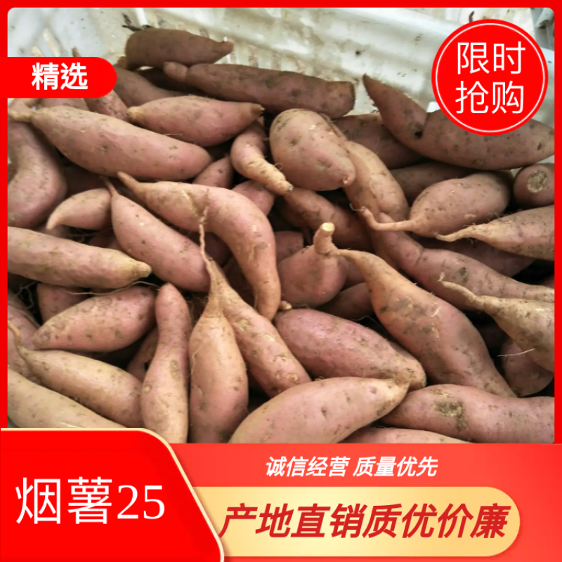 【优质】烟薯25条形好无虫眼黑斑口感好量大从优现挖现卖
