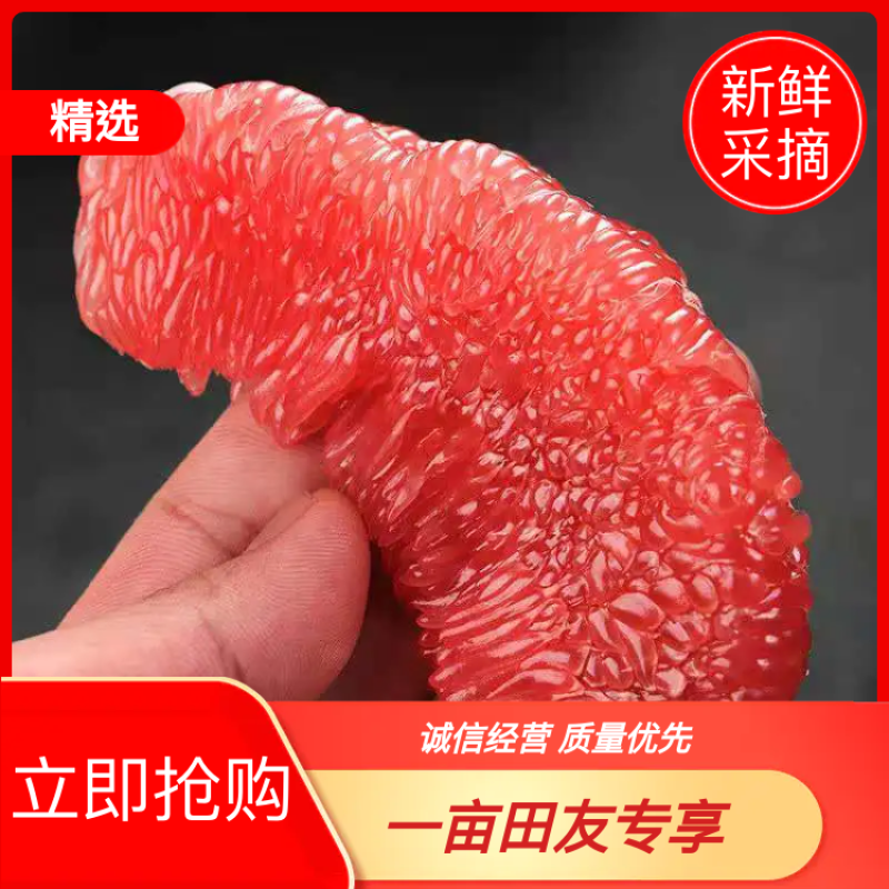 【推荐】四川蜜柚量大从优全国代发欢迎来电咨询