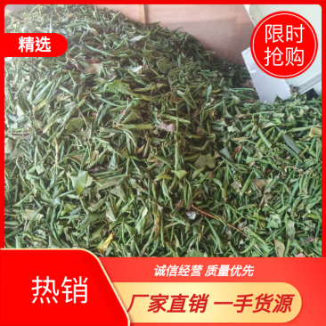 【厂家直销限时抢购中】金银花叶杀青哄干规格齐全品质无忧