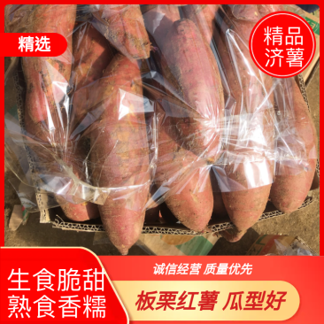 济薯26板栗薯小香薯口感佳商超市场