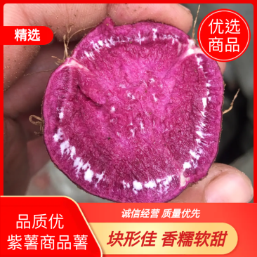 紫薯红薯商超电商团购实物实图品质保证售后保障