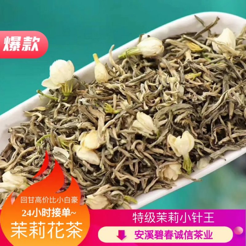 茉莉花茶特级茉莉小针王回甘高价比小白豪