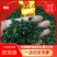 兰花香特级纯手工250g/盒2盒500g包邮