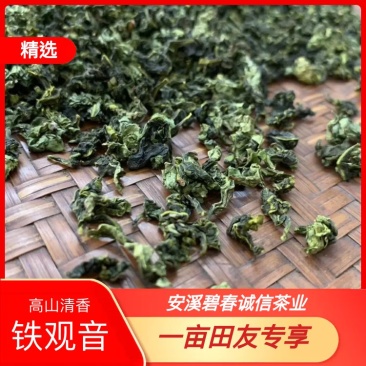 高山清香绿叶镶红边口齿留香250g/✘2盒500g