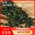 铁观音秋感德特级浓香观音韵250g/盒2盒500g