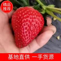 【品质好货】泗县墩集优质草莓商超直供可视频量大可