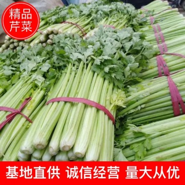 西芹芹菜50cm以上精选基地直供电商品质鲜货量大从优