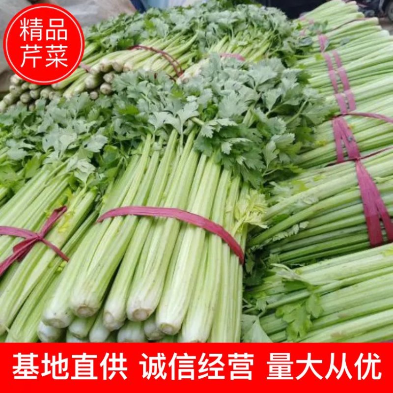 西芹芹菜50cm以上精选基地直供电商品质鲜货量大从优