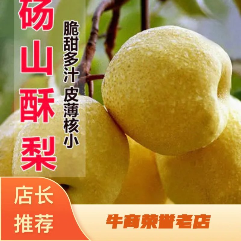 『百年老树果』砀山酥梨口感脆甜色泽鲜艳产地直发