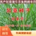 甜象草种子南方北方多年生四季高产喂猪牛羊鸡鸭鹅鱼兔