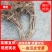 五味子苗4年以上优质大苗，成活率高，挂果早，口感好