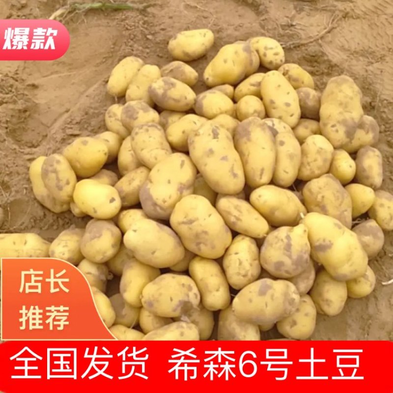 希森6号大量上市基地直装线上购买，支持视频看货