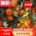 砂糖橘大量供应精品果