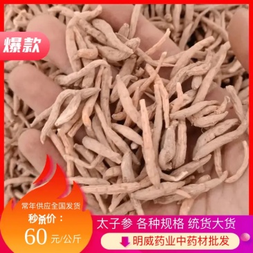 太子参各种规格统货大货供应可打粉常年供应全国发货