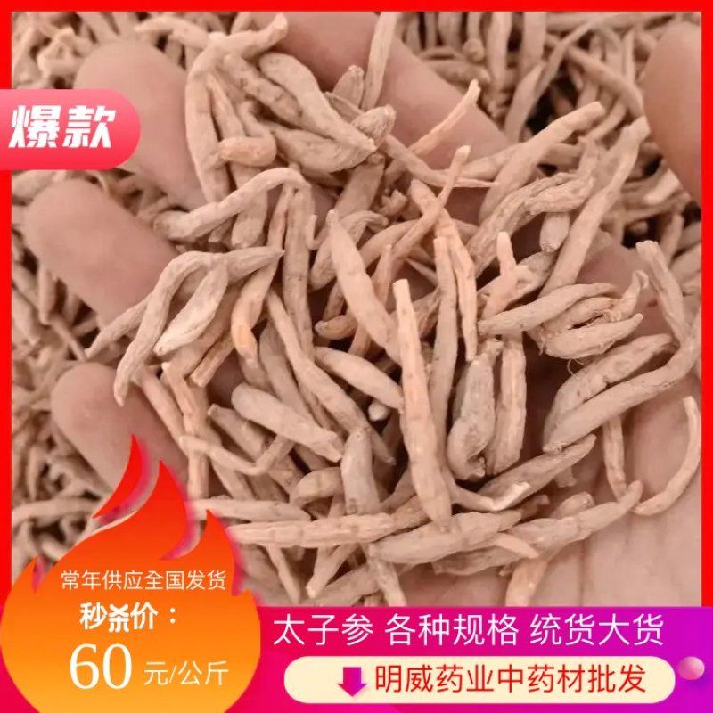 太子参各种规格统货大货供应可打粉常年供应全国发货