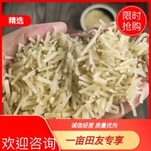 山东特产碎粉条粉丝包包子饺子专用碎细粉