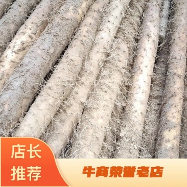 白玉山药,日本白山药价格大掉价了大量供应