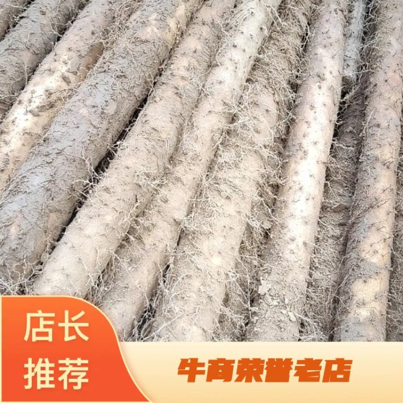 白玉山药，日本白山药价格大掉价了大量供应