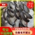 【专业平菇种植】食用菌菌棒绿色菌菇，品质保障，农场直发