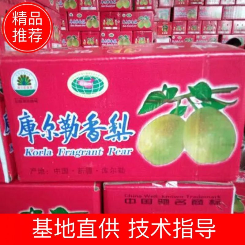 【精品】优质供货电商，红香酥梨质优价廉产地直发
