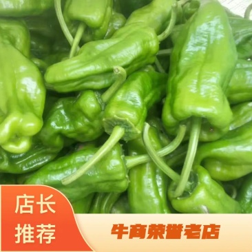 河南大量供应。精品泡椒。实力服务于客商，保质保量