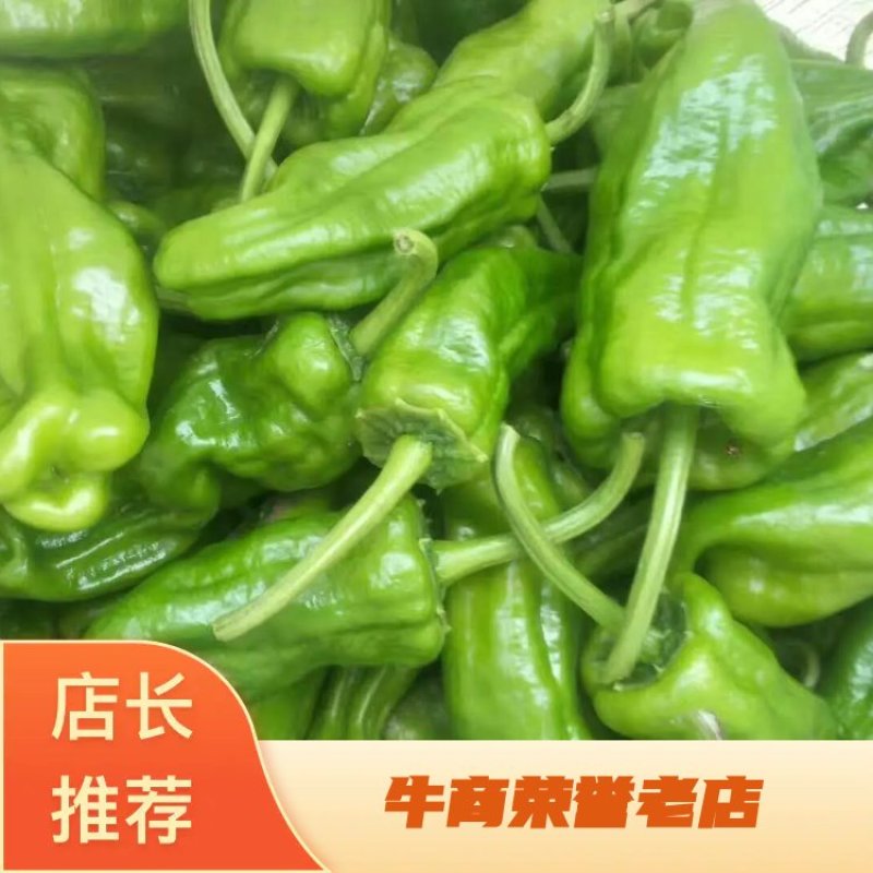 河南大量供应。精品泡椒。实力服务于客商，保质保量
