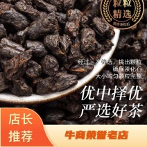 碎银子普洱茶云南糯米香熟茶普洱茶包邮