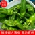 大青椒，口感微辣，个大15~20厘米，现摘的，对接电商
