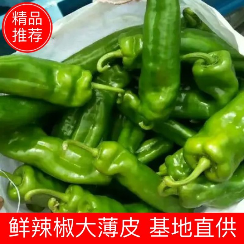 大青椒，口感微辣，个大15~20厘米，现摘的，对接电商