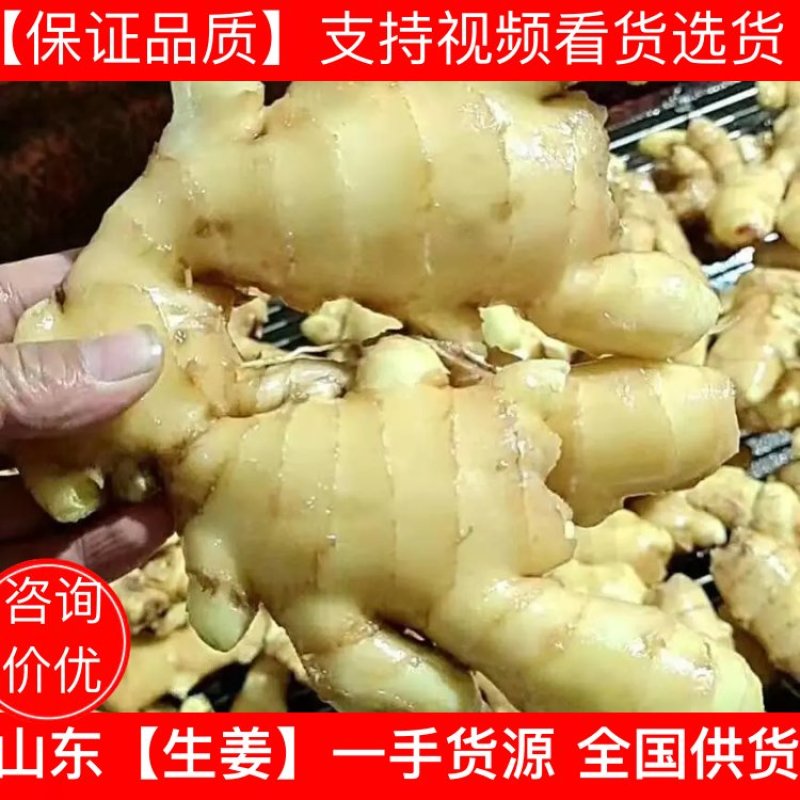 山东生姜，大黄姜，小黄姜，一手货源，全国发货，保质保量